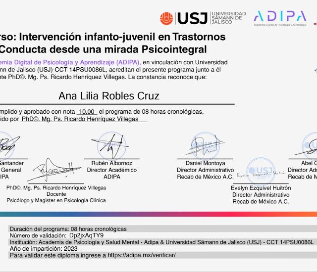 Ampliar imagen: certificate 12