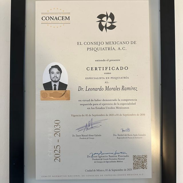 Ampliar imagen: certificate 3