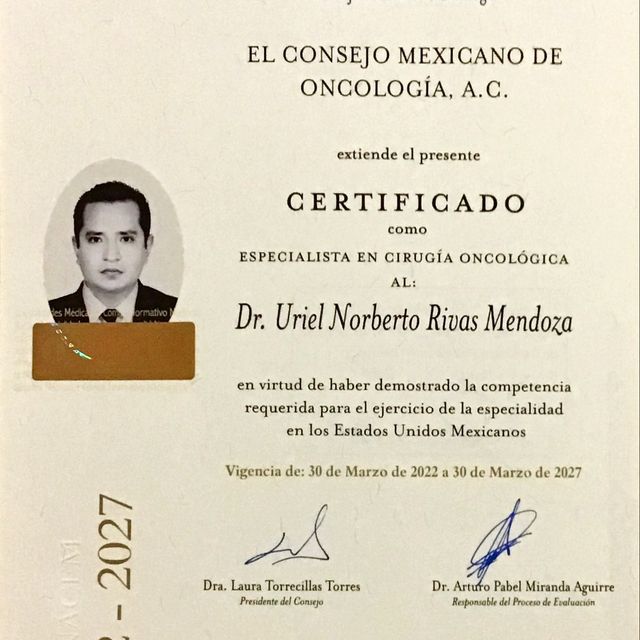 Ampliar imagen: certificate 2