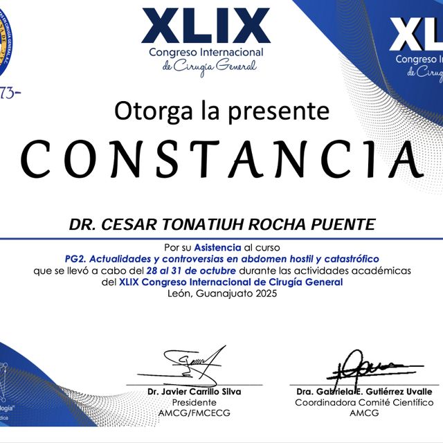 Ampliar imagen: certificate 41