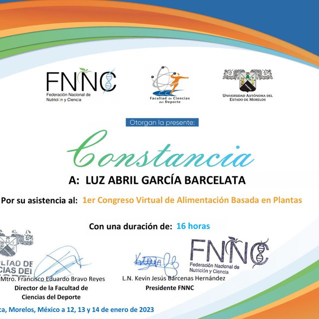Ampliar imagen: certificate 2