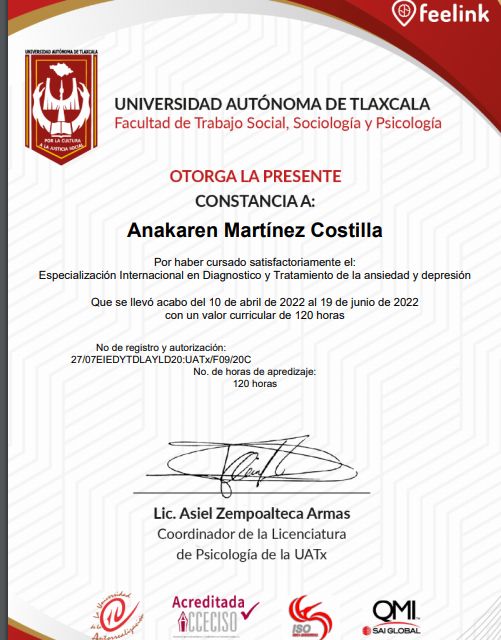 Ampliar imagen: certificate 1