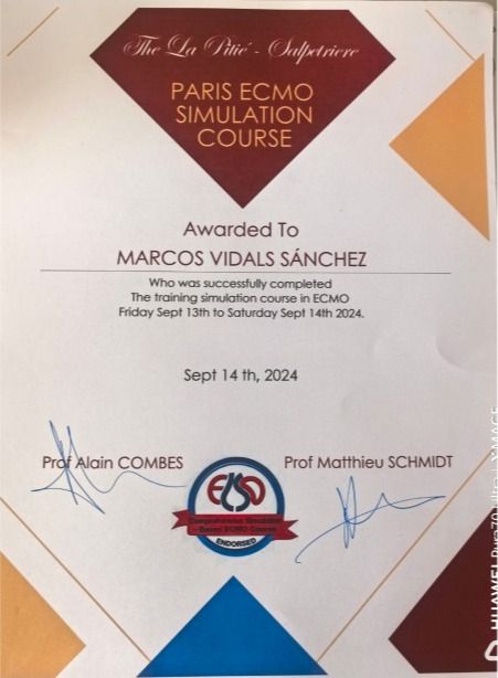 Ampliar imagen: certificate 1