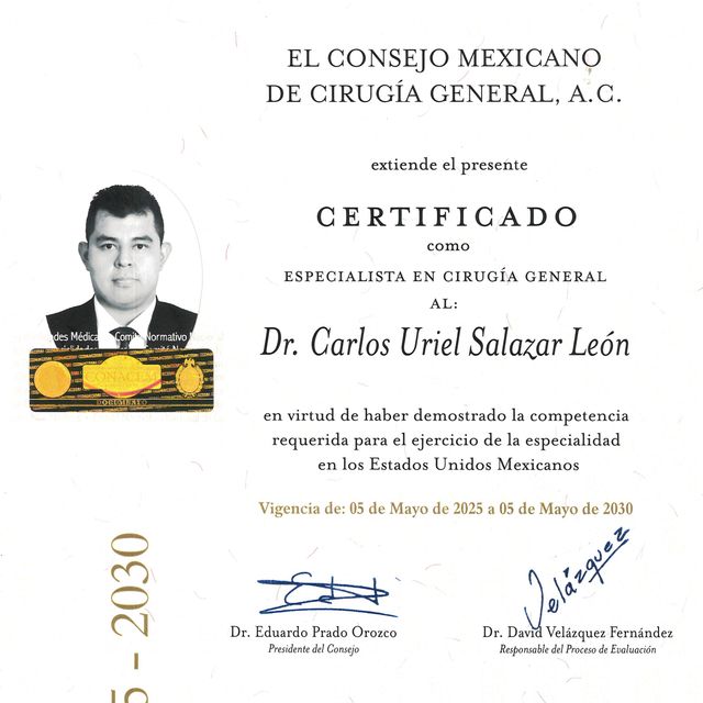 Ampliar imagen: certificate 3