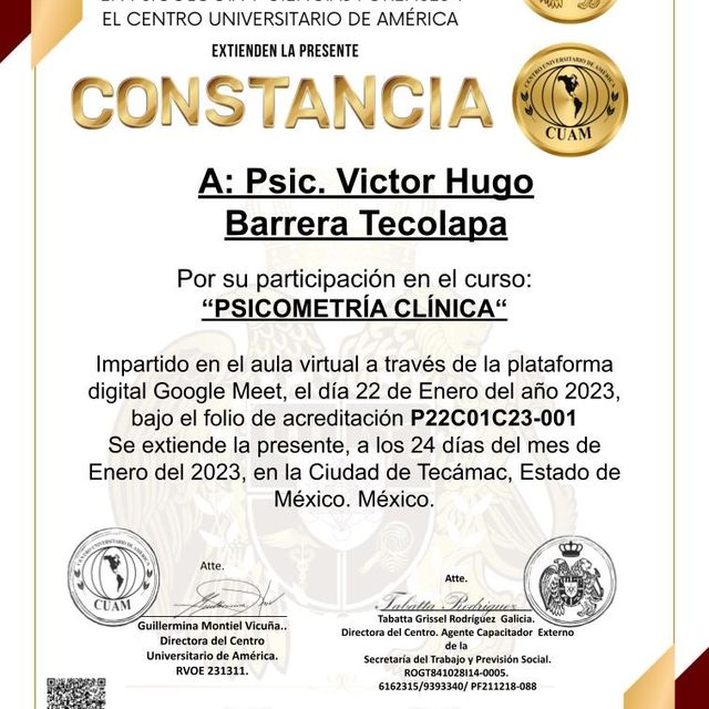 Ampliar imagen: certificate 63