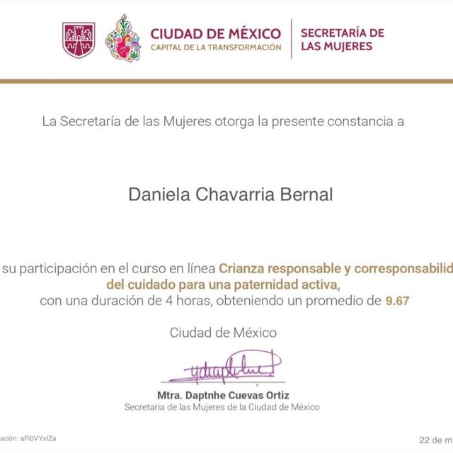 Ampliar imagen: certificate 23