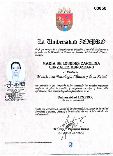 Ampliar imagen: certificate 2
