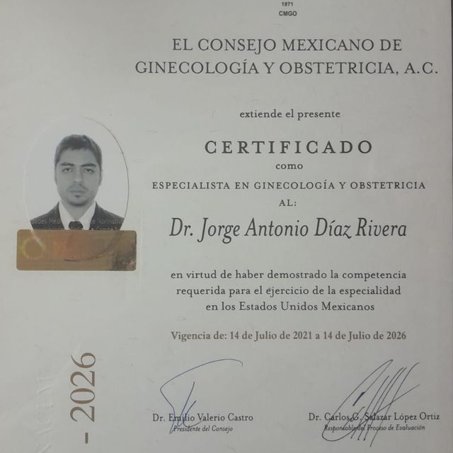Ampliar imagen: certificate 4