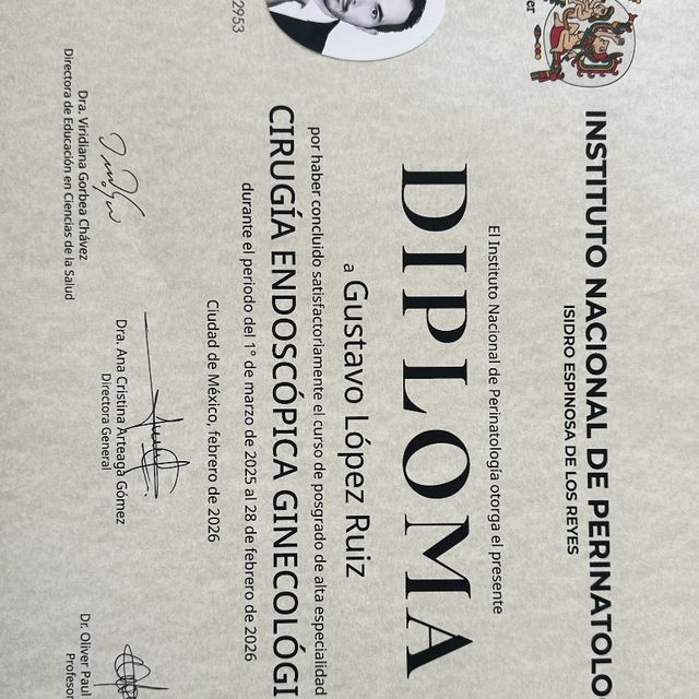 Ampliar imagen: certificate 3