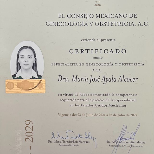 Ampliar imagen: certificate 5