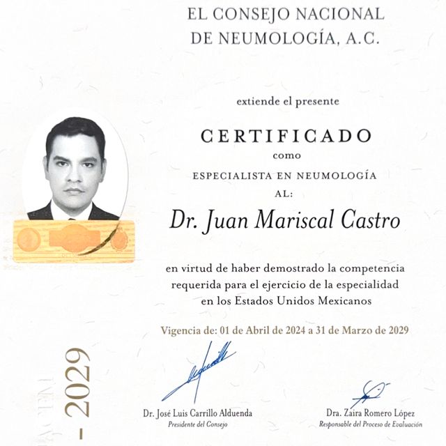 Ampliar imagen: certificate 1