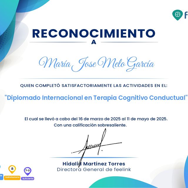 Ampliar imagen: certificate 1