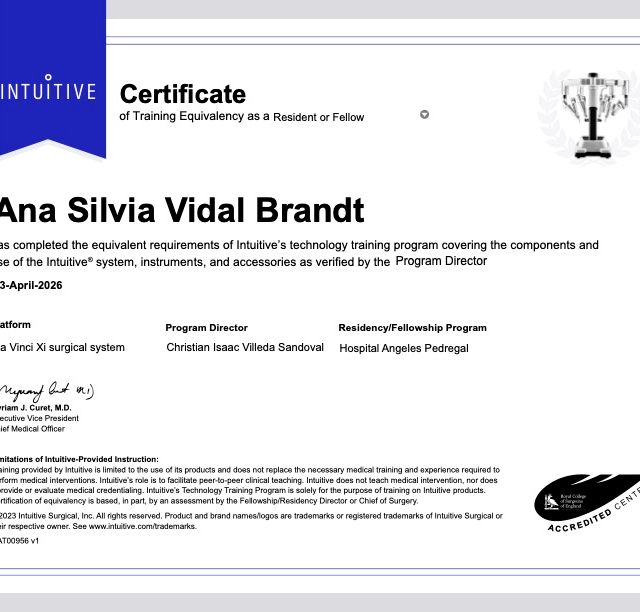 Ampliar imagen: certificate 5