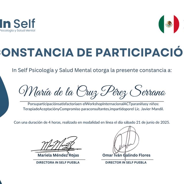 Ampliar imagen: certificate 11
