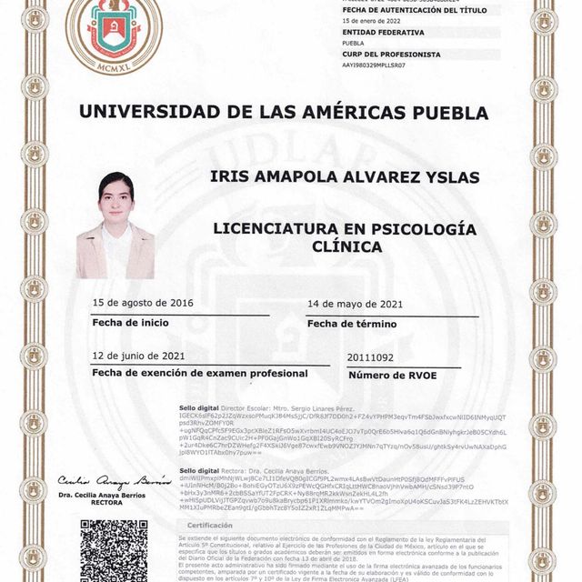 Ampliar imagen: certificate 3