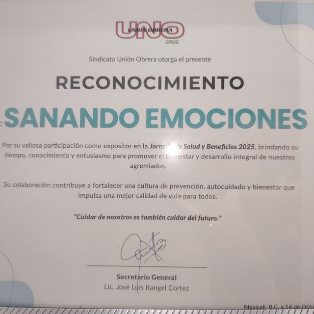 Ampliar imagen: certificate 3