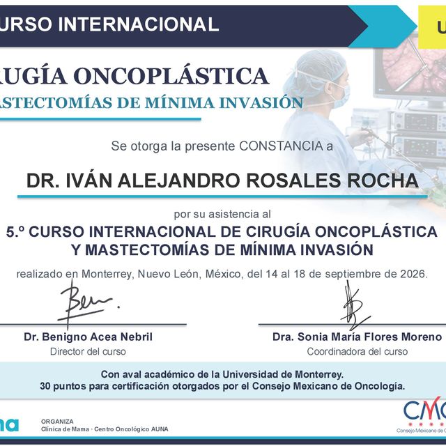 Ampliar imagen: certificate 9