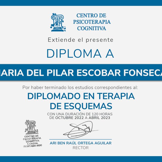 Ampliar imagen: certificate 1