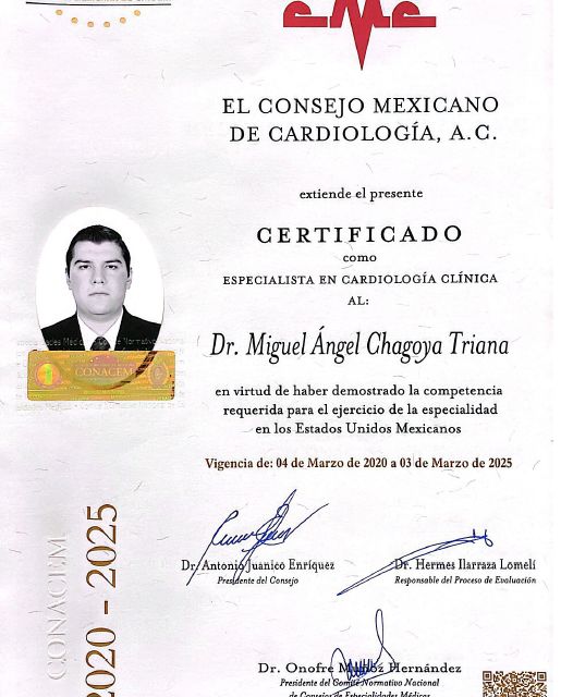 Ampliar imagen: certificate 6