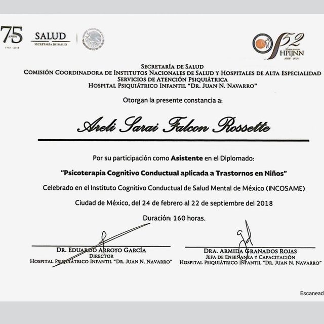 Ampliar imagen: certificate 1