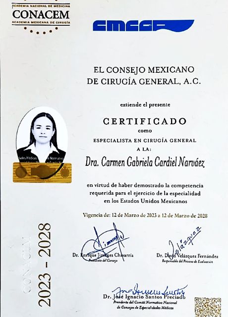 Ampliar imagen: certificate 1