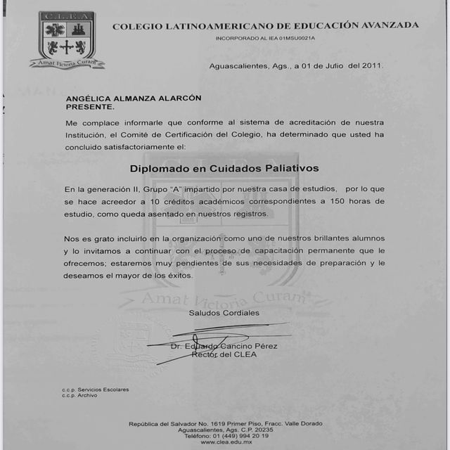 Ampliar imagen: certificate 6