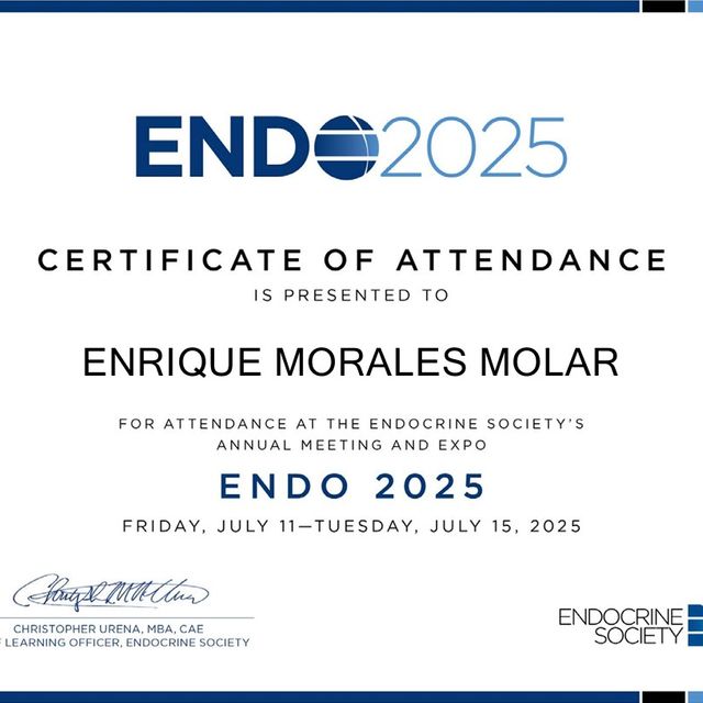 Ampliar imagen: certificate 8