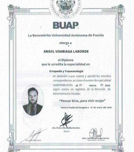 Ampliar imagen: certificate 3