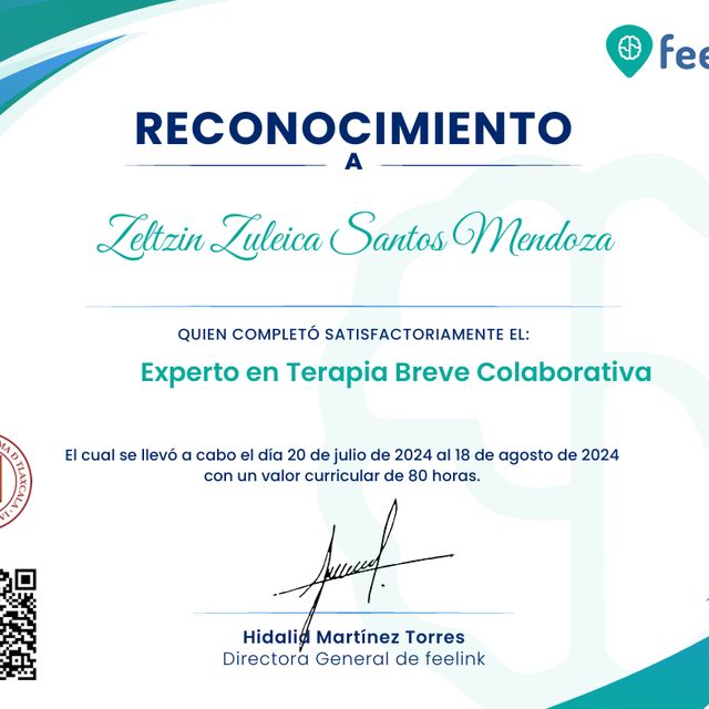 Ampliar imagen: certificate 12