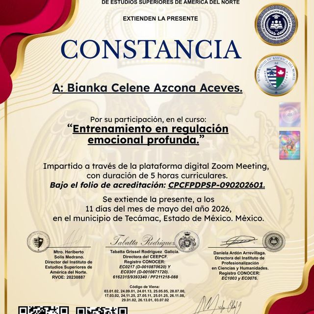 Ampliar imagen: certificate 8