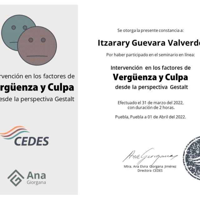 Ampliar imagen: certificate 5