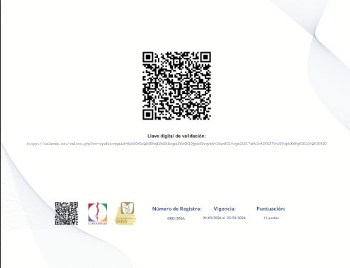 Ampliar imagen: certificate 2