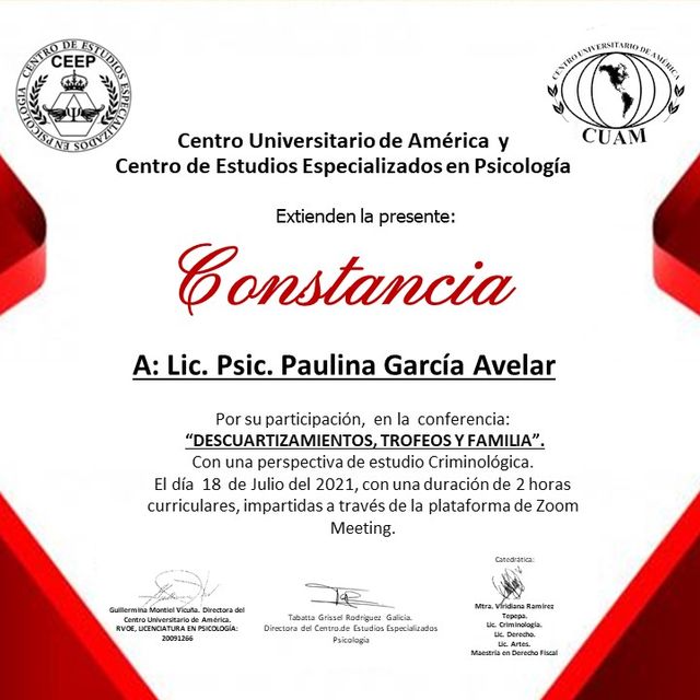 Ampliar imagen: certificate 8