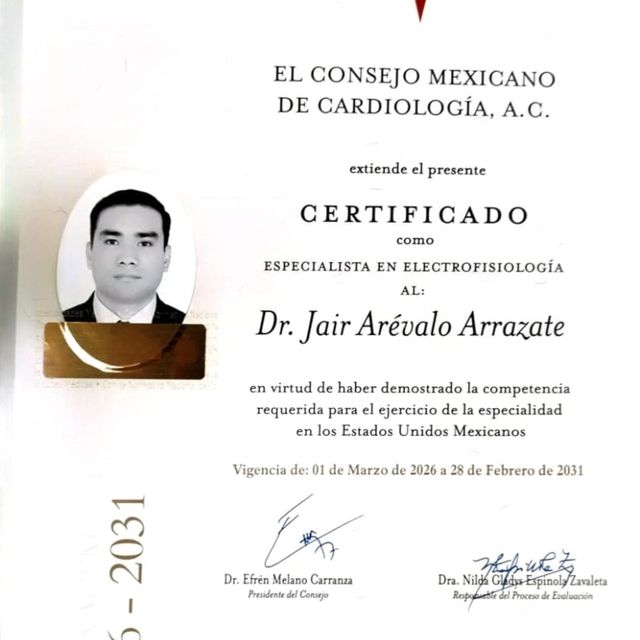 Ampliar imagen: certificate 2