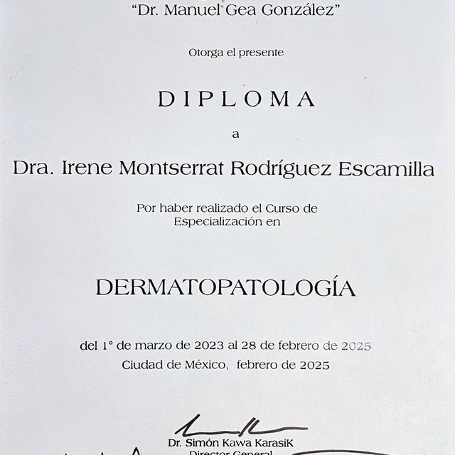 Ampliar imagen: certificate 5