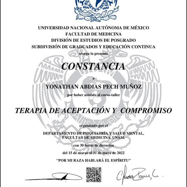 Ampliar imagen: certificate 1