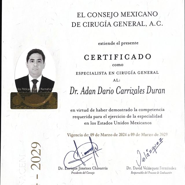 Ampliar imagen: certificate 1