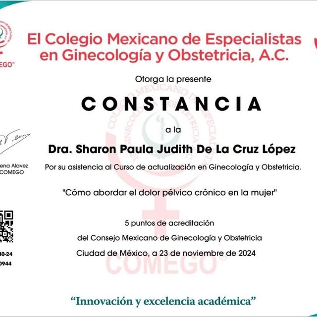 Ampliar imagen: certificate 16