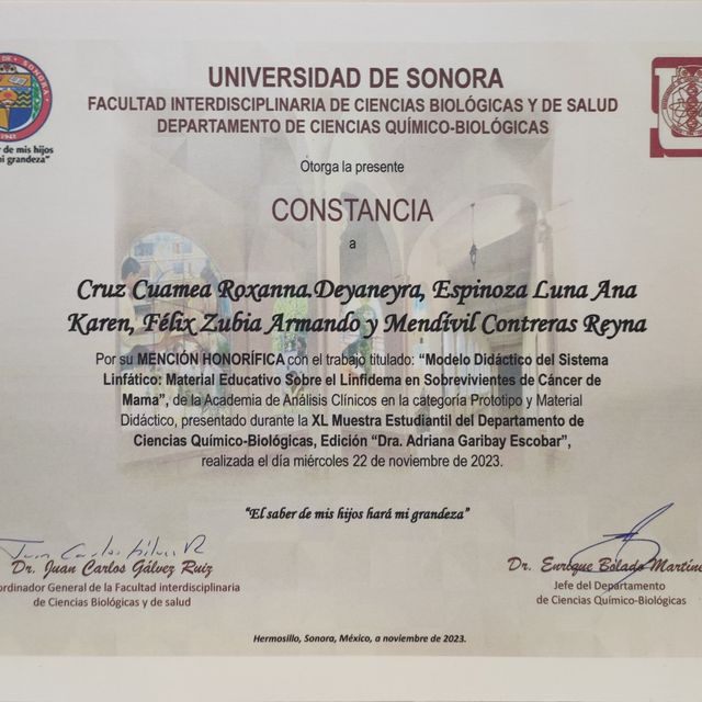 Ampliar imagen: certificate 16