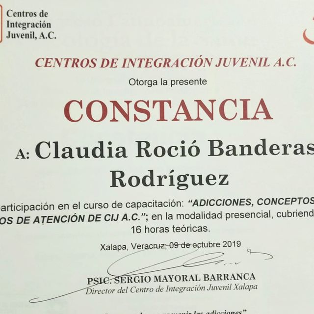 Ampliar imagen: certificate 5