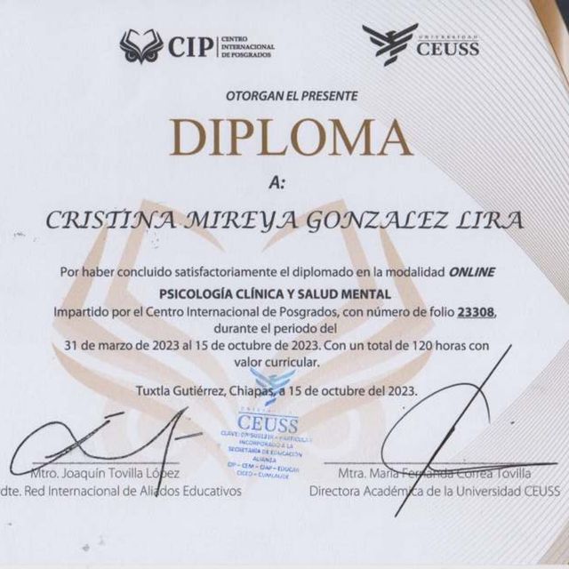 Ampliar imagen: certificate 3