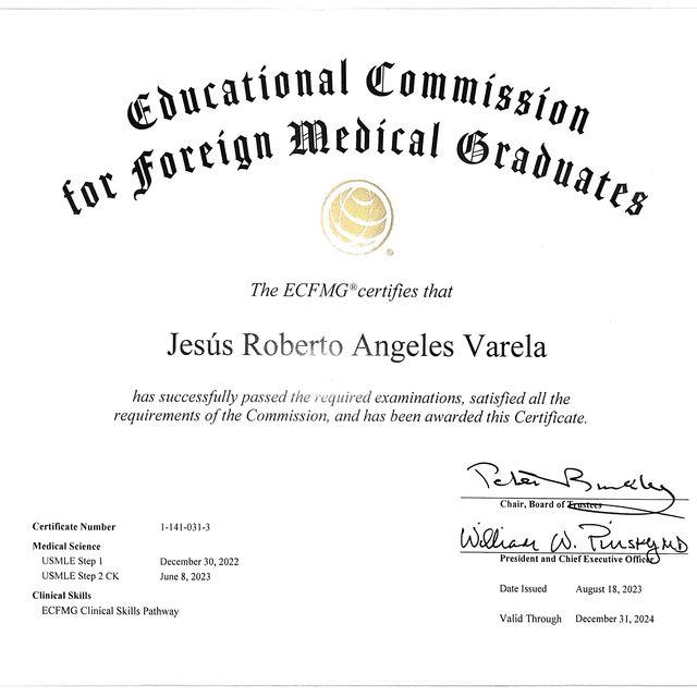 Ampliar imagen: certificate 2