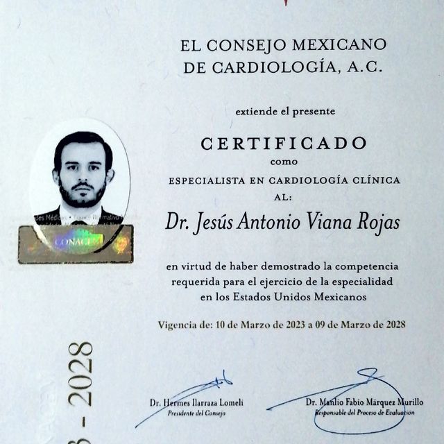 Ampliar imagen: certificate 1