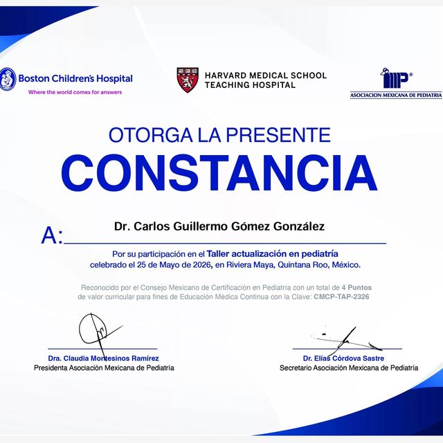 Ampliar imagen: certificate 1