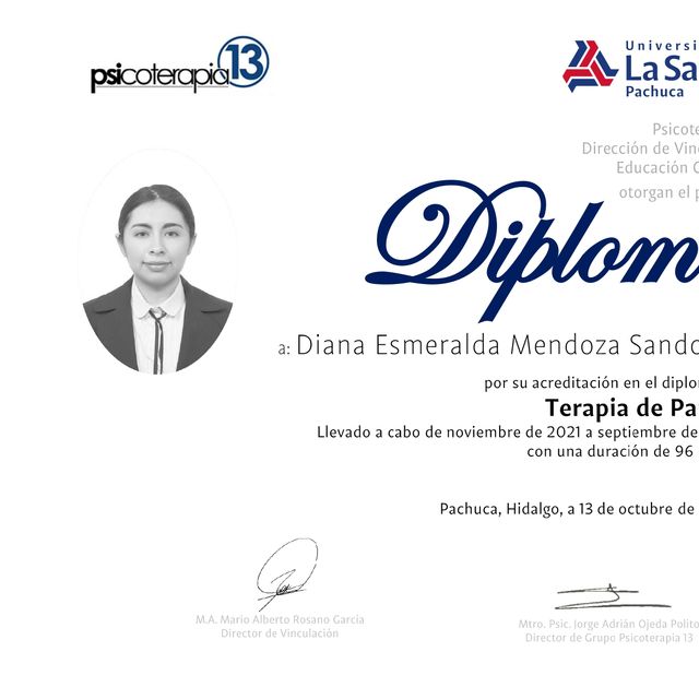 Ampliar imagen: certificate 5