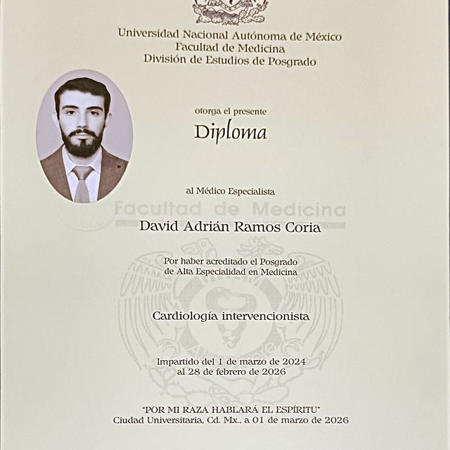 Ampliar imagen: certificate 3