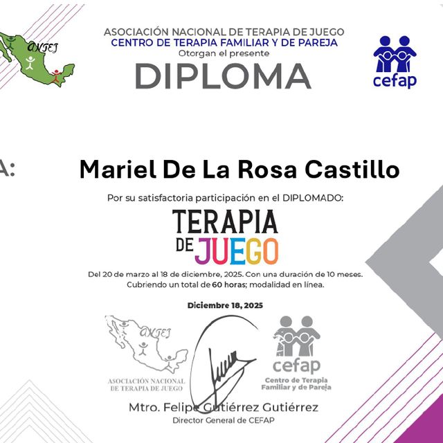 Ampliar imagen: certificate 5