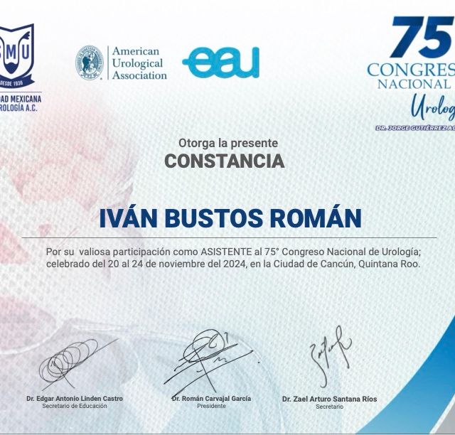 Ampliar imagen: certificate 13