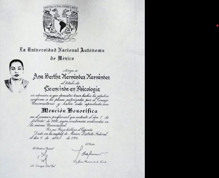 Ampliar imagen: certificate 2