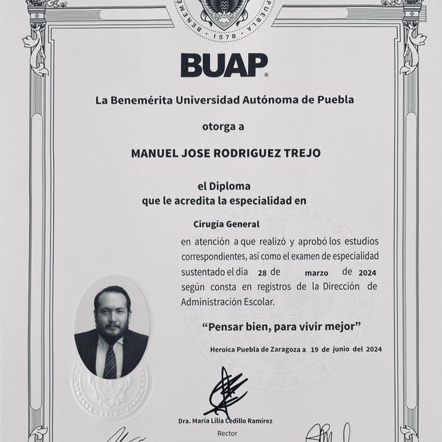 Ampliar imagen: certificate 2